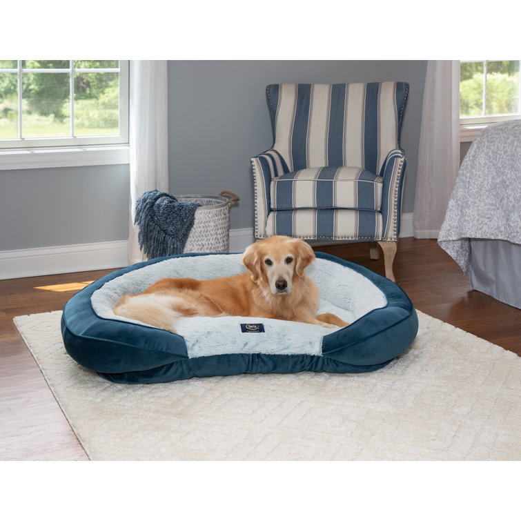 Serta shredded foam 2025 oval couch dog bed